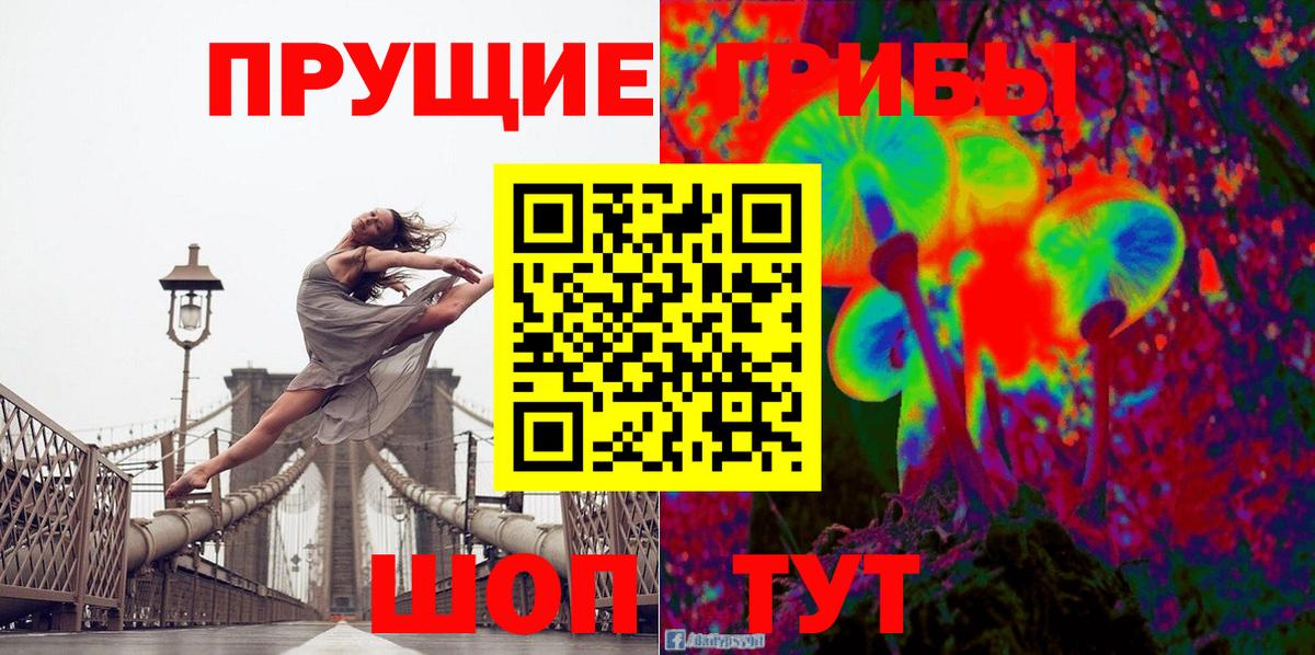 Псилоцибиновые грибы GOLDEN TEACHER Мурманск